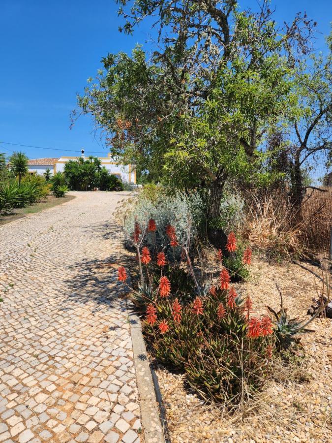 Quinta Das Amendoas 卡武埃鲁 外观 照片